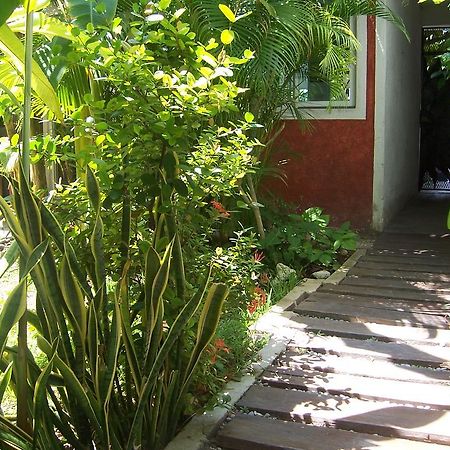 Elements Of The Island Ilha das Mulheres Exterior foto