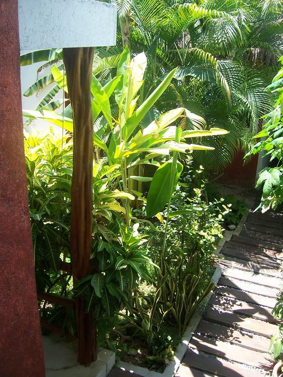 Elements Of The Island Ilha das Mulheres Exterior foto