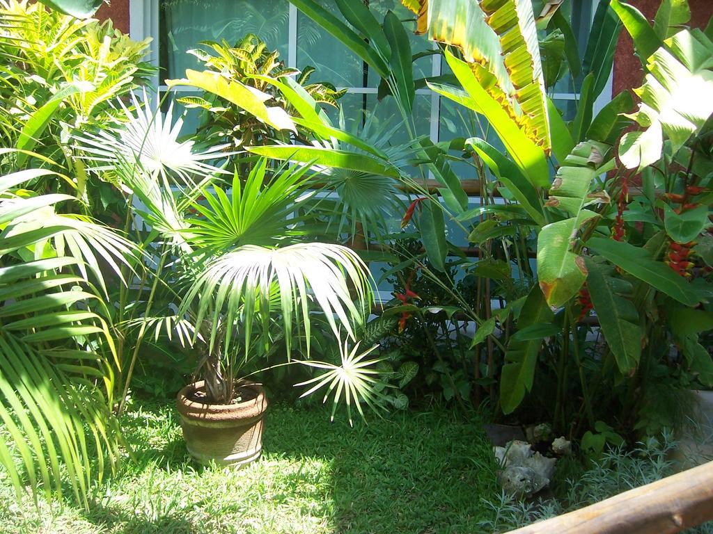 Elements Of The Island Ilha das Mulheres Exterior foto
